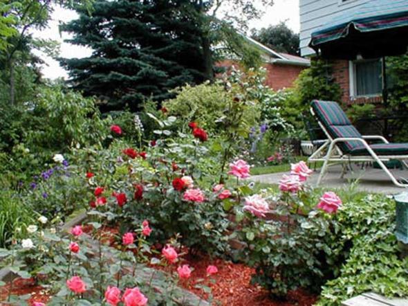 Dorchester House Bed & Breakfast ไนแอการาฟอลส์ ภายนอก รูปภาพ